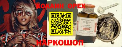 jwh Бийск