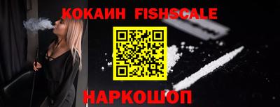 jwh Бийск