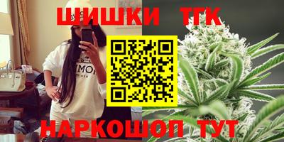 jwh Бийск