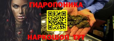 jwh Бийск