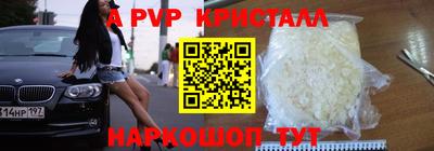 ECSTASY Беслан