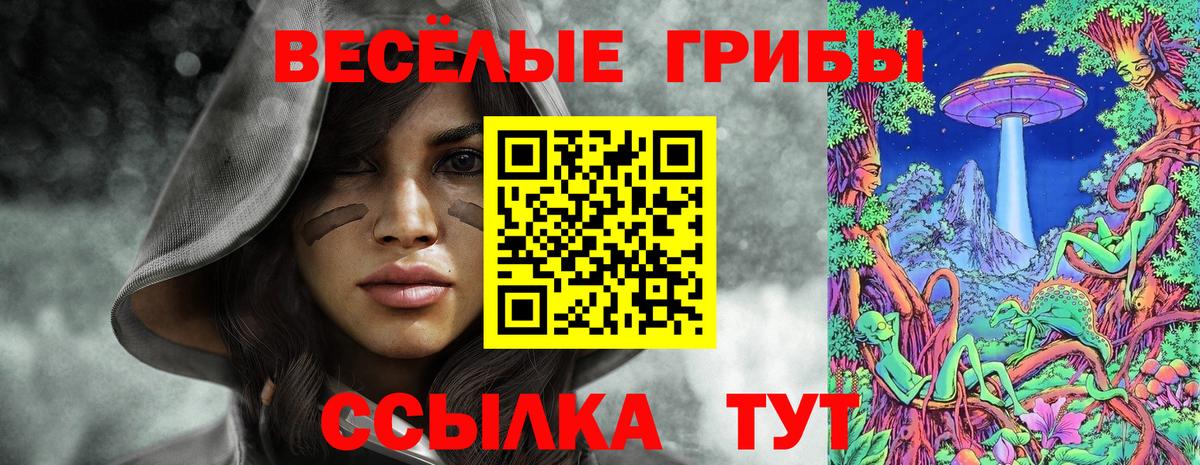 Ивантеевка  Псилоцибиновые грибы Psilocybe  Галлюциногенные грибы мицелий  Вход с VPN 